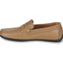 Pellet - CADOR VEAUBEIGE Sale