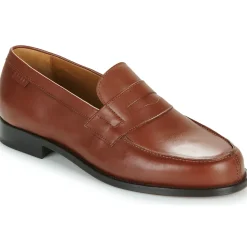 Pellet - COLBERT Veaumarron Sale