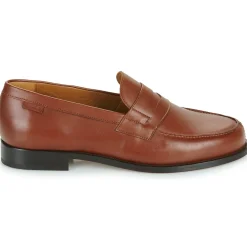 Pellet - COLBERT Veaumarron Sale
