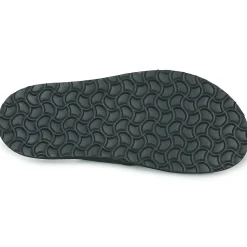 Pellet - FELIPE Veaugrainenoir Best