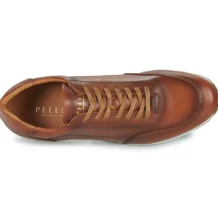 Pellet - MARC< Baskets Mode