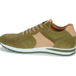 Pellet Baskets Mode^- MARCEL