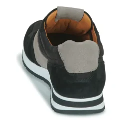 Pellet - MARCEL< Baskets Mode