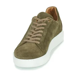 Pellet - OSCAR< Baskets Mode