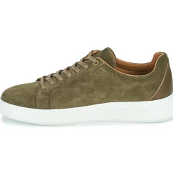 Pellet - OSCAR< Baskets Mode