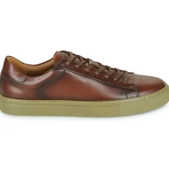 Pellet - PEDRO Veaulissebrossecognac Clearance