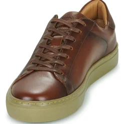 Pellet - PEDRO Veaulissebrossecognac Clearance