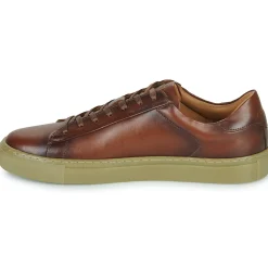 Pellet - PEDRO Veaulissebrossecognac Clearance