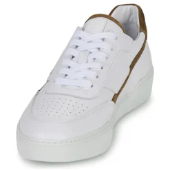 Pellet - RAPHAEL< Baskets Mode
