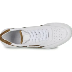 Pellet - RAPHAEL< Baskets Mode