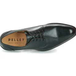 Pellet - SACHA VEAULISSEBROSSENOIR Sale