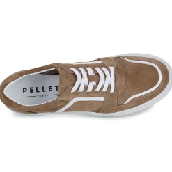 Pellet - SANDRY Hot