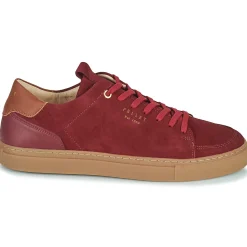 Pellet - SIMON< Baskets Mode