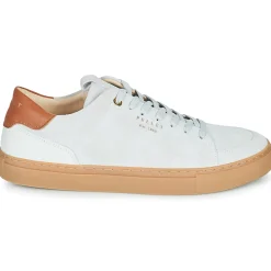 Pellet - SIMON< Baskets Mode
