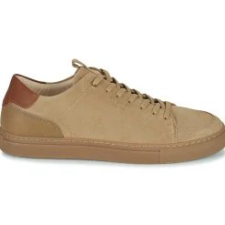 Pellet - SIMON< Baskets Mode