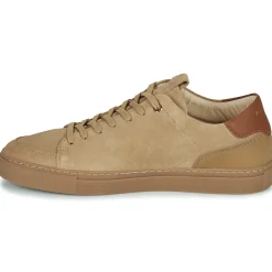 Pellet - SIMON< Baskets Mode