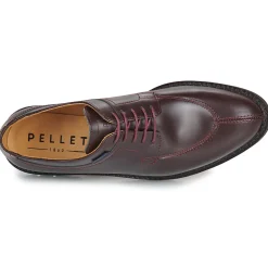 Pellet - VANESSA Veaupolidovino New