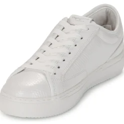 Pepe jeans Baskets Mode^- ADAMS SNAKY