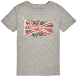 Pepe jeans - FLAG LOGO JR S/S N Gris