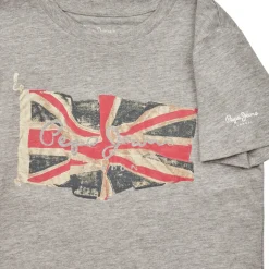 Pepe jeans - FLAG LOGO JR S/S N Gris