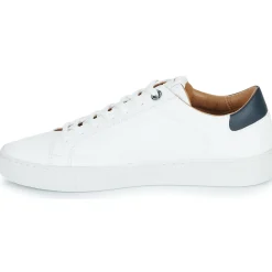 Pepe jeans - JOE BASIC< Baskets Mode