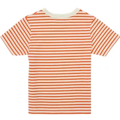 Petit Bateau T-shirts & Polos^- BRANDON