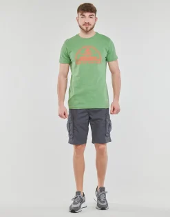 Petrol Industries - SHORTS CARGO 500 Gris Online
