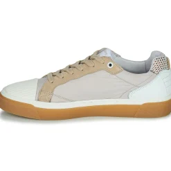 Philippe Morvan Baskets Mode^- HUSKY