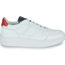 Piola - CAYMA< Baskets Mode