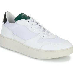 Piola - CAYMA< Baskets Mode