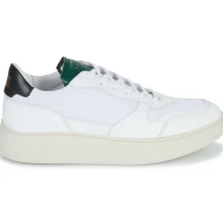 Piola - CAYMA< Baskets Mode