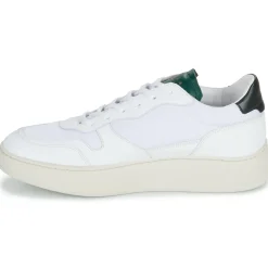 Piola - CAYMA< Baskets Mode