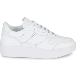 Piola Baskets Mode^- CAYMA