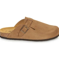 Plakton - BLOG AFELPADO Marron