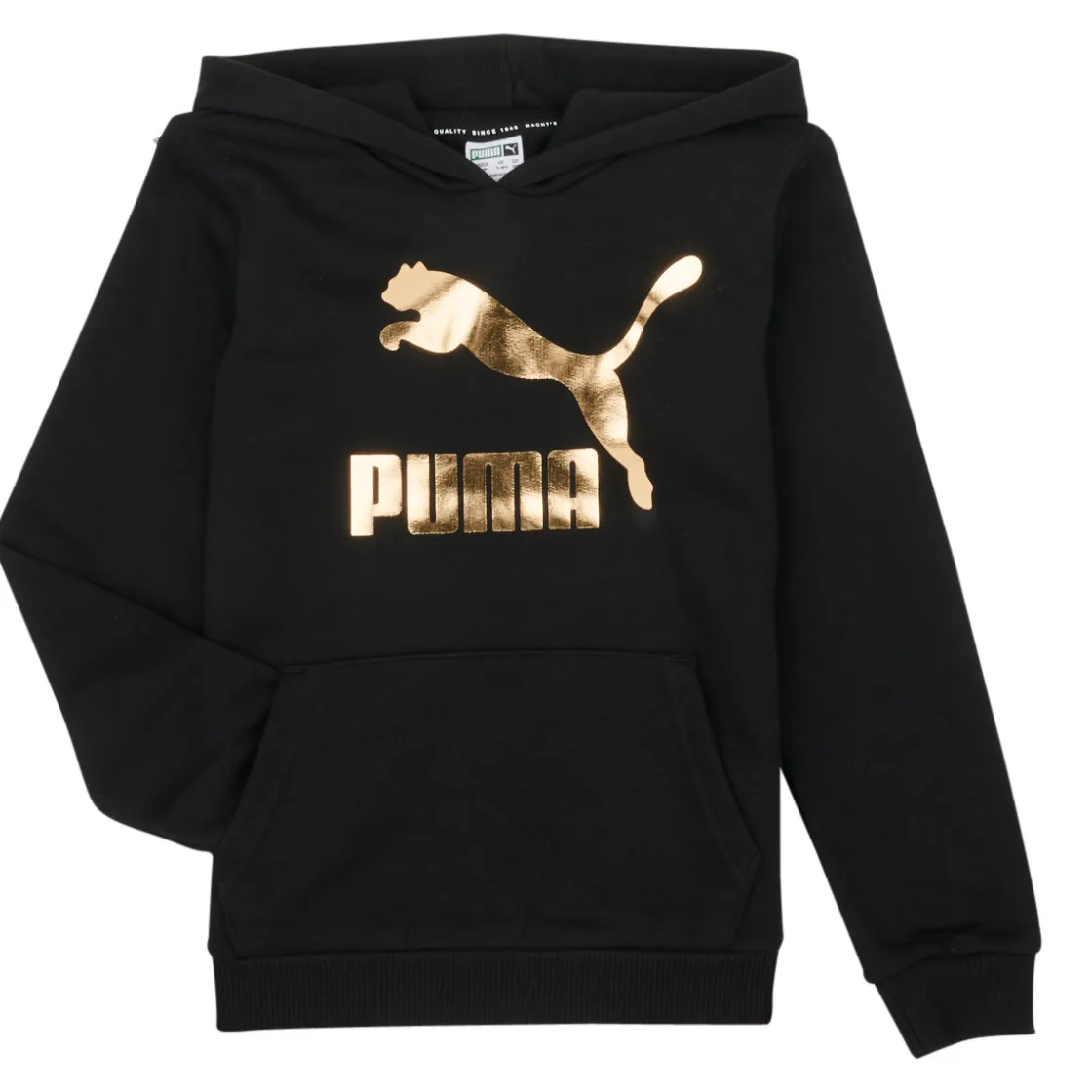 Puma - CLASSICS LOGO HOODIE< Sweats & Polaires