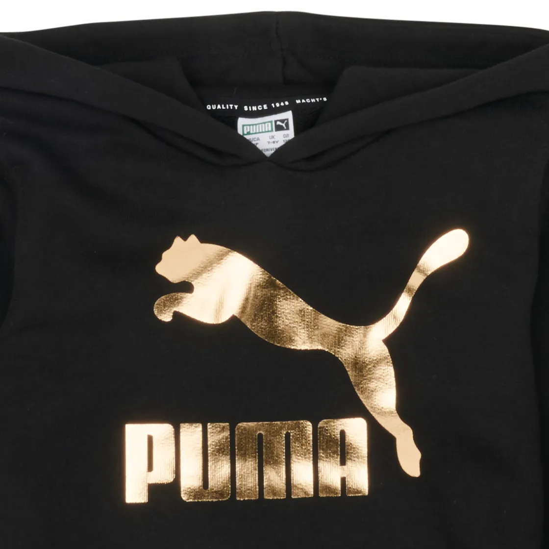Puma - CLASSICS LOGO HOODIE< Sweats & Polaires