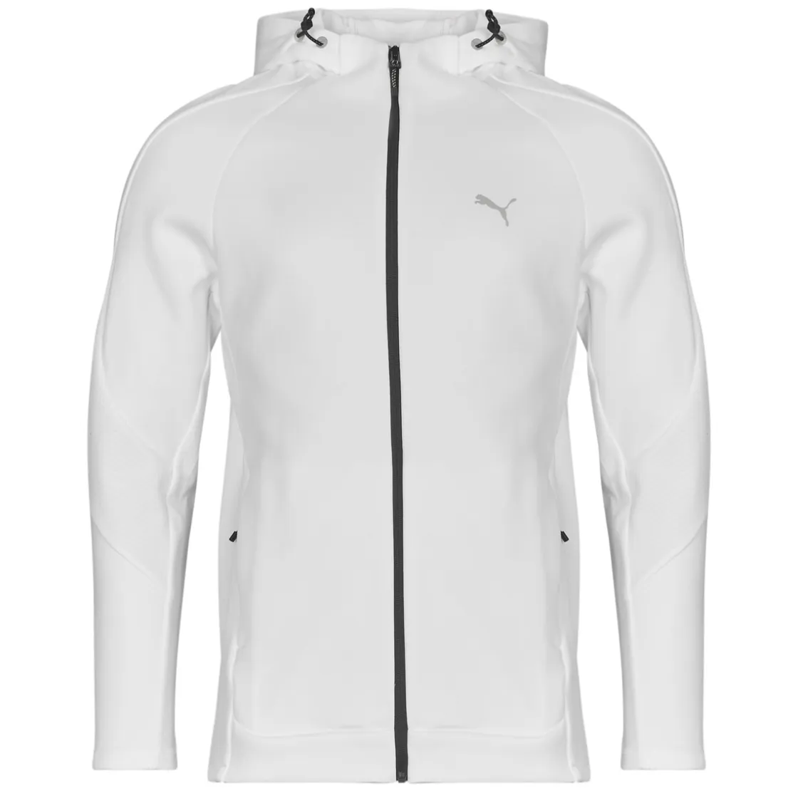 Puma Joggings & Survêtements^- EVOSTRIPE FULL ZIP HOODIE