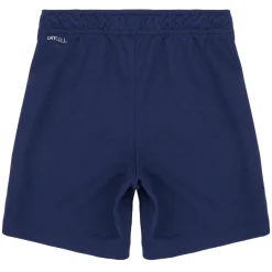Puma Shorts & Bermudas^- TEAMRISE SHORT