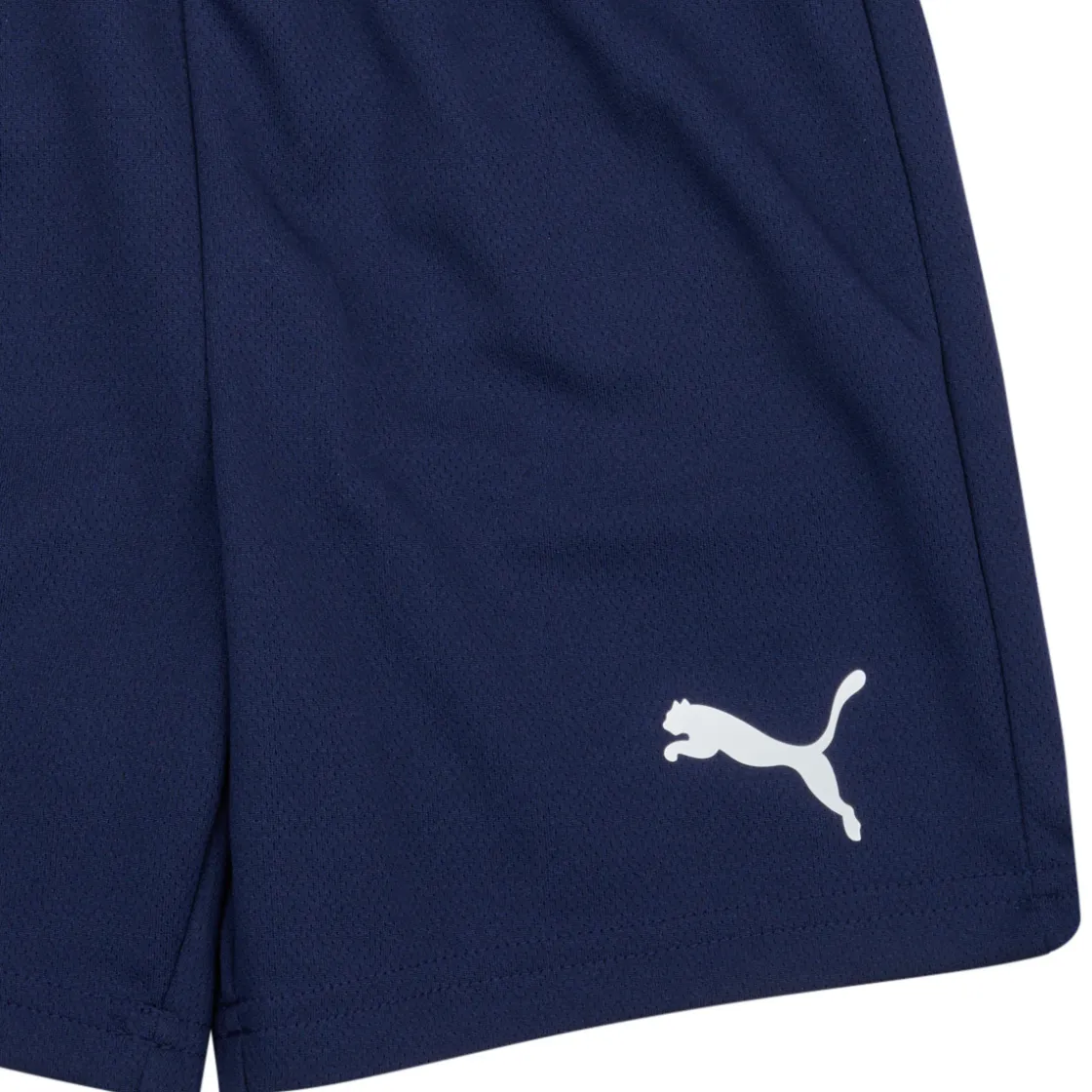 Puma Shorts & Bermudas^- TEAMRISE SHORT