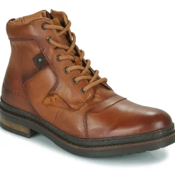 Redskins Bottines / Boots^- TRIOMPHE
