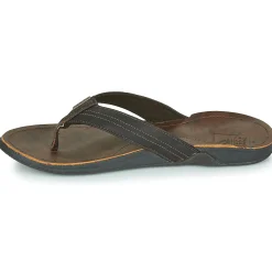 Reef - J-BAY III Marron New