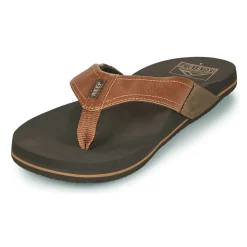 Reef - NEWPORT Marron Best