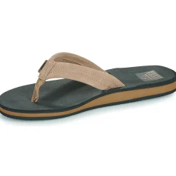 Reef - THE GROUNDSWELL< Tongs