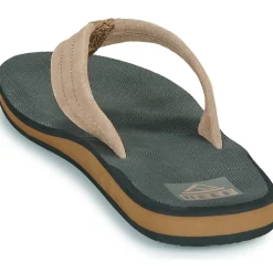 Reef - THE GROUNDSWELL< Tongs