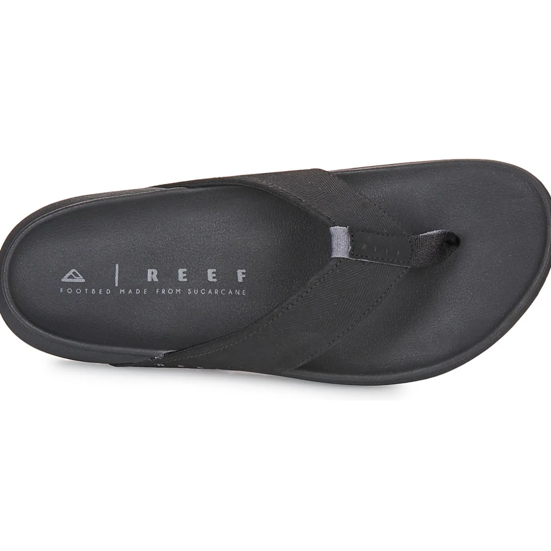 Reef Tongs^- THE RAGLAN