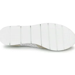 Regard - JARD V4 CROSTA P STONE< Baskets Mode