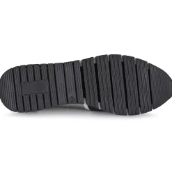 Regard - KIWI< Baskets Mode