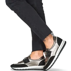 Regard - KIWI< Baskets Mode