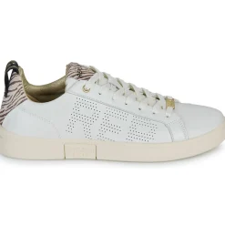 Replay - POLYS W STUDIO< Baskets Mode