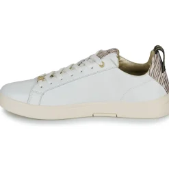 Replay - POLYS W STUDIO< Baskets Mode
